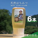 【ふるさと納税】合計1800g 天然蜂蜜 国産蜂蜜 非加熱 生はちみつ 岐阜県 美濃市産 初夏 (蜂蜜300g入りピタッとボトル6本セット) B17 深田養蜂のハチミツ