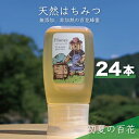 【ふるさと納税】【先行予約 2025年6月20日より発送】合計7200g 天然蜂蜜 国産蜂蜜 非加熱 生はちみつ 岐阜県 美濃市産 初夏 (蜂蜜300g入りピタ...