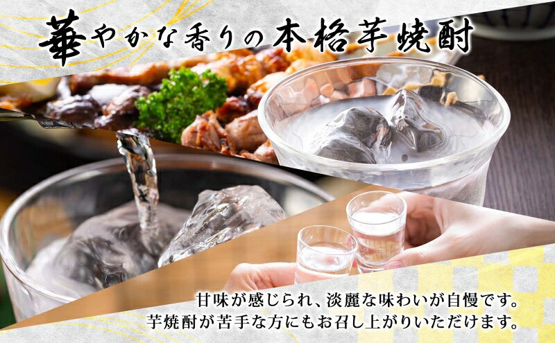 【ふるさと納税】本格 芋焼酎 えっきょう 25度 720ml 瓶 Ekkyo 焼酎 乙類 お酒 アルコール 飲料 さつまいも 紅はるか 芋 いも イモ G酵母 オリジナル 晩酌 家飲み プレゼント 贈り物 ギフト 父の日 お中元 お歳暮 誕生日 自家用 送料無料 紫屋 岐阜県 美濃市 f212075-mino-10000516 岐阜県美濃市 サンプル画像2