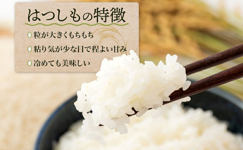 【ふるさと納税】＜先行予約＞令和8年産 はつしも 精米 30kg×1袋 低農薬 新米 お米 白米 米 ごはん 米 ご飯 ハツシモ R8年産 あっさり ブランド米 お取り寄せ 産地直送 送料無料 美濃グリーン 岐阜県 美濃市　お届け：2026/12/15から順次出荷 f212075-mino-10000650 岐阜県美濃市 サンプル画像2