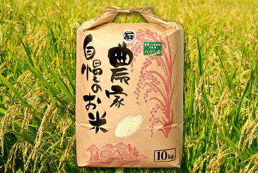 【ふるさと納税】お米 農薬化学肥料不使用 ハツシモ 10kg