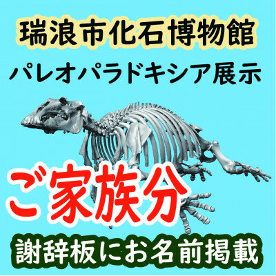 展示コーナーに名前が載る!パレオパラドキシア新展示コーナー謝辞板にお名前掲載(ご家族分)