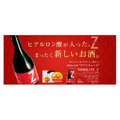 1位! 口コミ数「0件」評価「0」ヤングライフZ　500ml×1本【1504292】