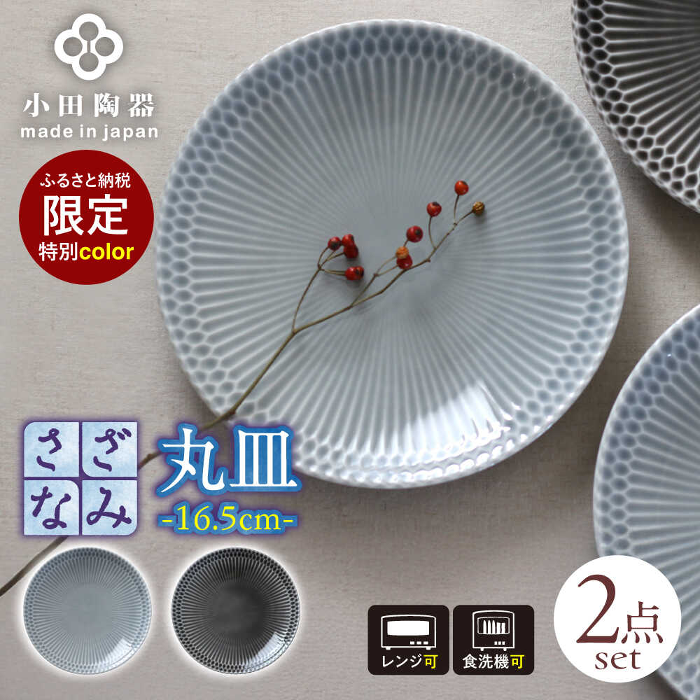 [美濃焼] [ふるさと納税特別カラー] さざなみ20皿 2枚セット (ライトグレー・ダークグレー) 瑞浪市 / 小田陶器 食器 皿 リムプレート[AZAM003]