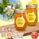 【ふるさと納税】純粋ハチミツ 2種セット (アカシア500g×1 山桜500g×1) 瑞浪市 / honey shop Bee farm asano 蜂蜜 はち...