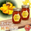 【ふるさと納税】純粋ハチミツ 2種セット (野山の花500g×1 ソヨゴ500g×1) 瑞浪市 / honey shop Bee farm asano 蜂蜜 は...