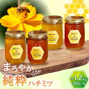 【ふるさと納税】純粋ハチミツ 4種セット (アカシア 山桜 ソヨゴ 野山の花 300g×各1) 瑞浪市 / honey shop Bee farm asano ...