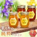 【ふるさと納税】純粋ハチミツ 4種セット (アカシア 山桜 ソヨゴ 野山の花 500g×各1) 瑞浪市 / honey shop Bee farm asano ...