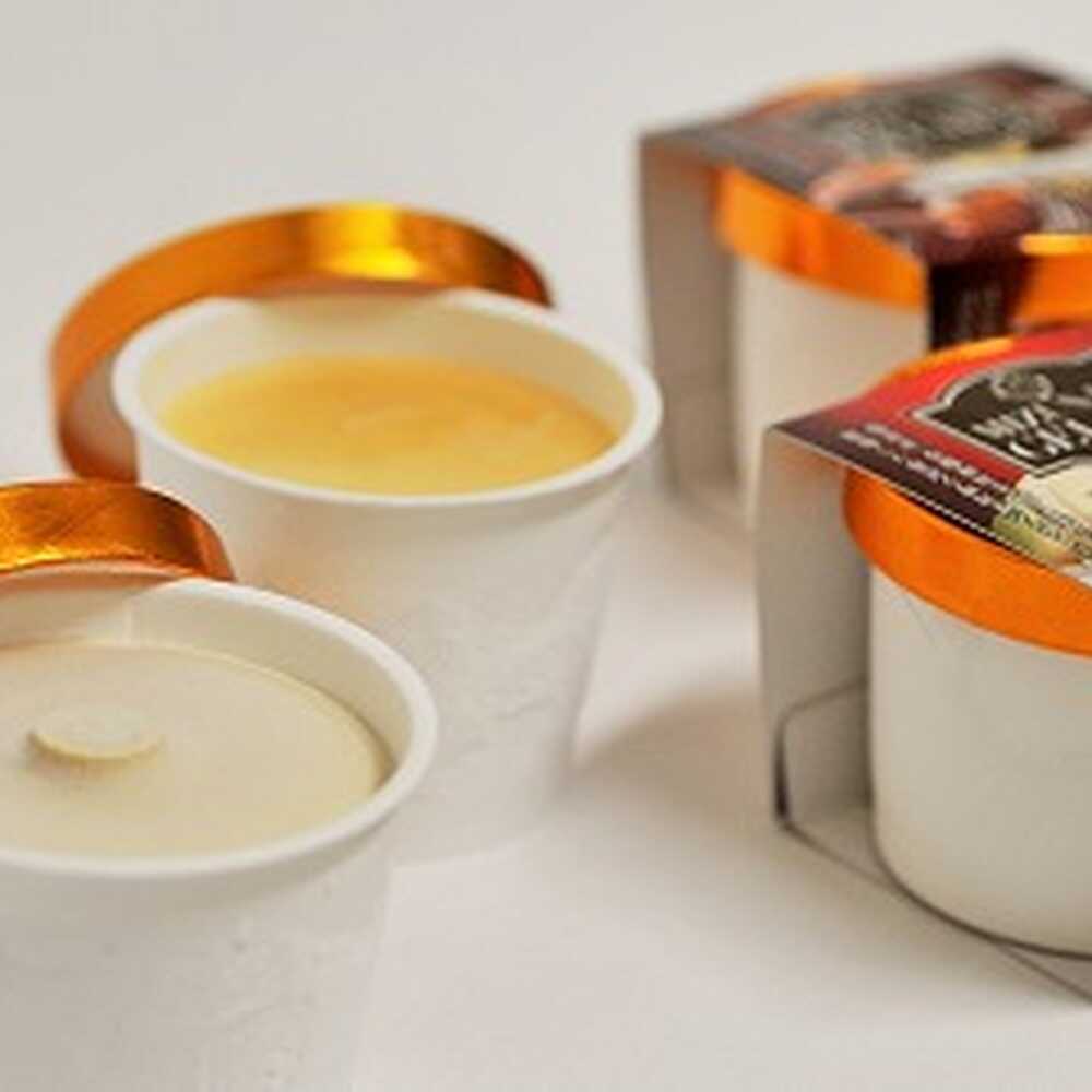 みずなみジェラート 2種 計8個 和紅茶 × はちみつ 瑞浪市 / きなぁた瑞浪 アイスクリーム ギフト[AZCI002]