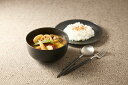 【ふるさと納税】【美濃焼】 miyama. カレー うつわ スープ カレー皿 2点セット 鉄釉 瑞浪市 / ミヤマプランニング 食器 皿 ボウル[AZCM060...