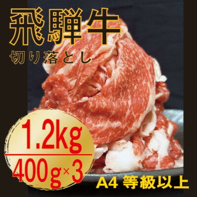 飛騨牛　A4等級　切り落とし　1.2kg【配送不可地域：離島】【1487292】