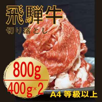 飛騨牛　A4等級　切り落とし　400g×2【配送不可地域：離島】【1487316】