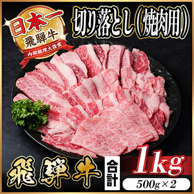 【ふるさと納税】飛騨牛　訳あり　切り落とし焼肉1kg【配送不可地域：離島】【1487351】