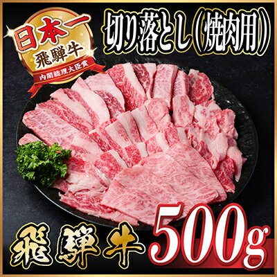 飛騨牛 訳あり切り落とし焼肉 500g [配送不可地域:離島]