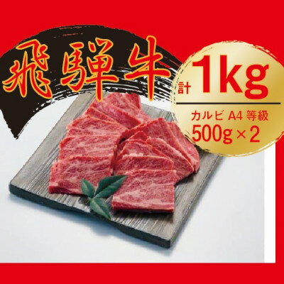 飛騨牛　カルビ　焼肉　500g×2【配送不可地域：離島】【1487353】