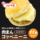 【ふるさと納税】コッペ亭 肉まんコッペニーニ 11本セット【配送不可地域:離島】【1517375】