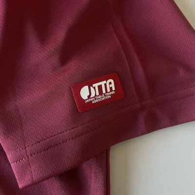 【ふるさと納税】JTTA公認　卓球ユニフォーム【男女兼用(ドライ):Sサイズ】プレイヤー　補　バーガンディー【1521325】