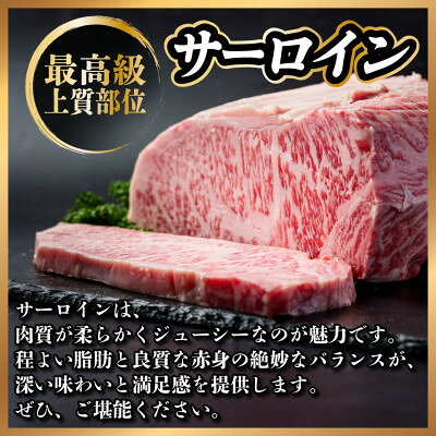 【ふるさと納税】飛騨牛　ステーキ2種食べ比べセット　計800g【冷蔵便】A4～A5等級 黒毛和牛 ヒレ【配送不可地域：離島】【1530608】 f212091-hashima-10001161 岐阜県羽島市 サンプル画像3
