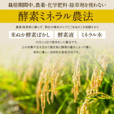【ふるさと納税】「つちのおと」米粉5kg　栽培期間中、農薬・化学肥料・除草剤不使用　岐阜県産初霜　令和5年産【1531140】