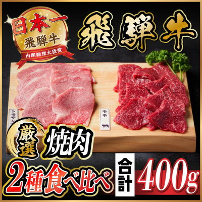 飛騨牛 トモサンカク・モモ焼肉 約400g(各約200g)[配送不可地域:離島]