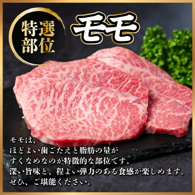 【ふるさと納税】飛騨牛　モモステーキ約300g(100g×3枚) A4～A5等級 黒毛和牛 赤身ステーキ【配送不可地域：離島】【1531311】 f212091-hashima-10001201 岐阜県羽島市 サンプル画像2