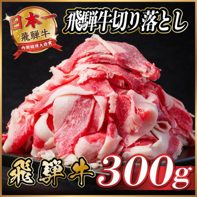 【ふるさと納税】飛騨牛　切り落とし　約300g【配送不可地域：離島】【1531495】のサムネイル
