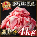 【ふるさと納税】飛騨牛 切り落とし 約4kg(約500g×8)【冷蔵便】A4〜A5等級 黒毛和牛 小分け【配送不可地域:離島】【1531527】