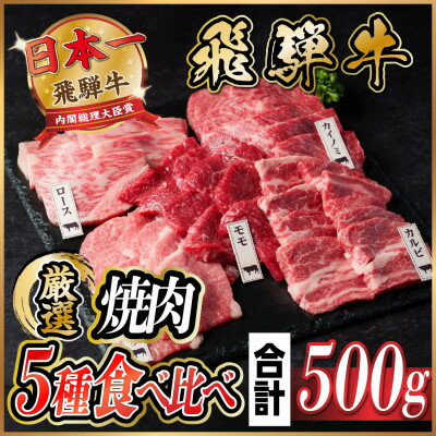 飛騨牛 焼肉厳選5種食べ比べセット(カルビ・トモサンカク・モモ・ロース・カイノミ)約500gタレ付き[配送不可地域:離島]