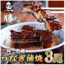 【ふるさと納税】三河一色産うなぎ蒲焼 3尾〈計約480g〉【配送不可地域:離島】【1532720】