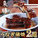 【ふるさと納税】中国産うなぎ蒲焼 2尾〈計約320g〉【配送不可地域:離島】【1532723】