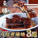 【ふるさと納税】中国産うなぎ蒲焼 3尾〈計約480g〉【配送不可地域:離島】【1532724】