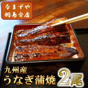 【ふるさと納税】九州産うなぎ蒲焼 2尾〈計約240g〉【配送不可地域:離島】【1533660】