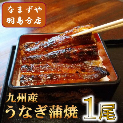 【ふるさと納税】九州産うなぎ蒲焼 1尾〈約120g〉【配送不可地域:離島】【1533661】