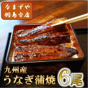 【ふるさと納税】九州産うなぎ蒲焼 6尾〈計約720g〉【配送不可地域:離島】【1533665】