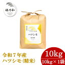 【ふるさと納税】【先行予約】令和7年産 岐阜県産ハツシモ(精米)10kg【配送不可地域:離島】【1540844】