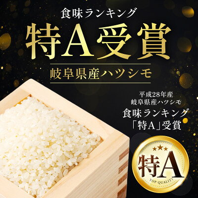 木曽川、長良川の清らかな水と濃尾平野の肥沃な大地で育てた幻の米「ハツシモ」です。ぜひ賞味ください。　【ふるさと納税】【先行予約】令和8年産　岐阜県産ハツシモ(精米)10kg【配送不可地域：離島】【1540844】
