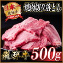 【ふるさと納税】飛騨牛 焼肉切り落とし 約500g タレ付き 訳あり【冷蔵便】A4〜A5等級 黒毛和牛【配送不可地域:離島】【1543368】