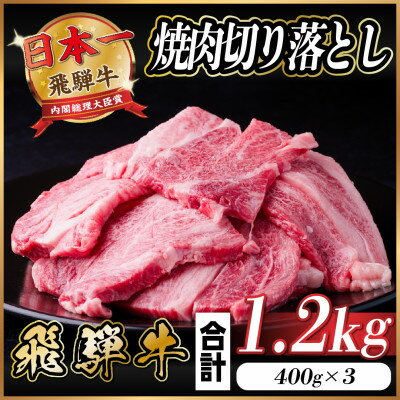 【ふるさと納税】飛騨牛 焼肉 切り落とし 約1.2kg(約400g×3)訳あり【冷蔵便】【配送不可地域:離島】【1543587】
