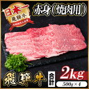 【ふるさと納税】飛騨牛 厳選赤身 焼肉 2kg(500g×4) A4~A5等級 黒毛和牛 BBQ用 小分け【配送不可地域:離島】【1543760】