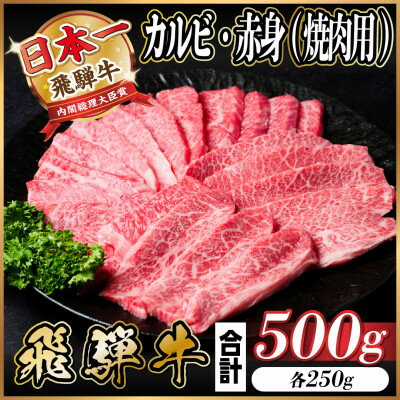 【ふるさと納税】飛騨牛 カルビ・赤身(焼肉用) 500g(各250g)【配送不可地域:離島】【1543761】 【ふるさと納税】飛騨牛 カルビ・赤身(焼肉用) 500g(各250g)【配送不可地域:離島】【1543761】