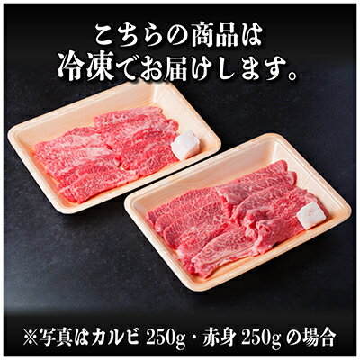 【ふるさと納税】飛騨牛　厳選カルビ・赤身(焼肉・BBQ用)500g(各250g)～　A4～A5等級 小分け_ 牛肉 飛騨牛 国産牛 カルビ 赤身 焼肉 BBQ A4 A5 モモ カタ 冷凍 人気 おすすめ 送料無料 贈答 ギフト 【配送不可地域：離島】【G1543764】