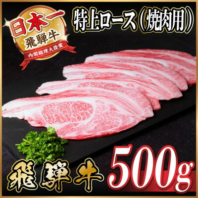 飛騨牛 特上ロース 焼肉 500g[配送不可地域:離島]