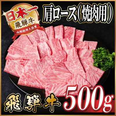 飛騨牛 肩ロース 焼肉 500g[配送不可地域:離島]