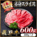 【ふるさと納税】飛騨牛 赤身スライス 600g(すき焼き・しゃぶしゃぶ)【配送不可地域:離島】【1543806】