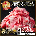 【ふるさと納税】飛騨牛 切り落とし 約2.8kg(約350g×8パック)【冷蔵便】A4〜A5等級 黒毛和牛 小分け【配送不可地域:離島】【1544103】