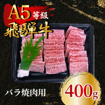 飛騨牛5等級 バラ焼肉用400g FTA170[配送不可地域:離島]