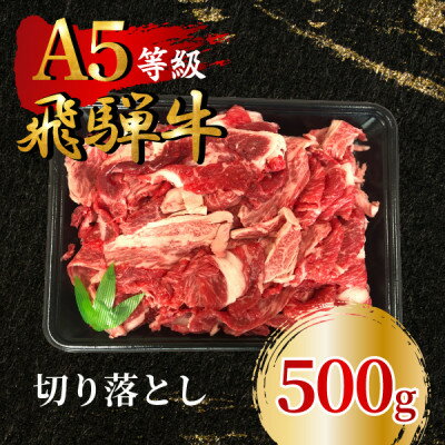 飛騨牛5等級 切り落とし500g FTA195[配送不可地域:離島]