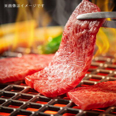 【ふるさと納税】飛騨牛5等級 サンカクバラ焼肉用500g　FTA284【配送不可地域：離島】【1578300】 f212091-hashima-10001797 岐阜県羽島市 サンプル画像2