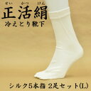 【ふるさと納税】正活絹 冷えとり靴下 シルク5本指 2足セット(Lサイズ)【1584069】