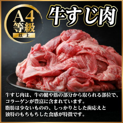 【ふるさと納税】飛騨牛 牛すじ肉 約500g 訳あり【冷蔵便】A4～A5等級【配送不可地域：離島】【1634455】